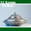 S.G. Bleviano - The Wilds